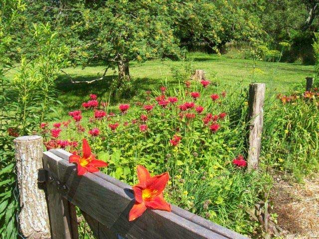 Private garden