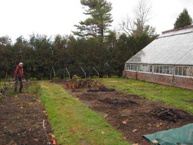 Greenhouse and extended season growing 