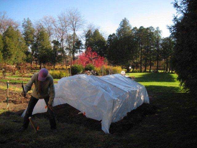 Greenhouse and extended season growing 