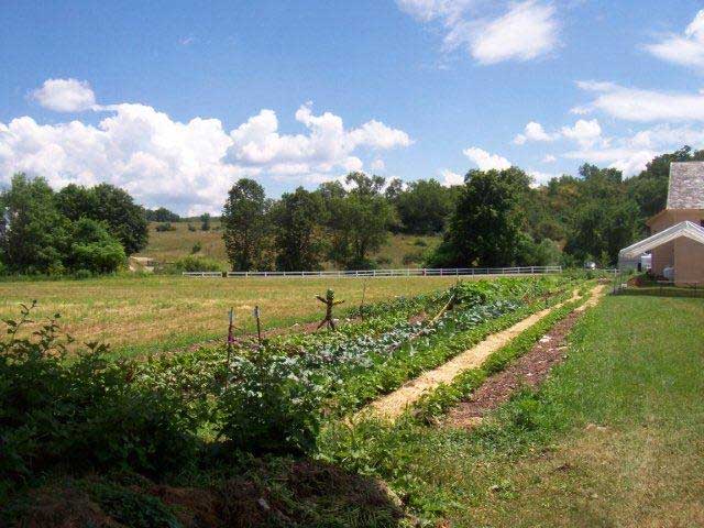 Greenhouse and extended season growing 