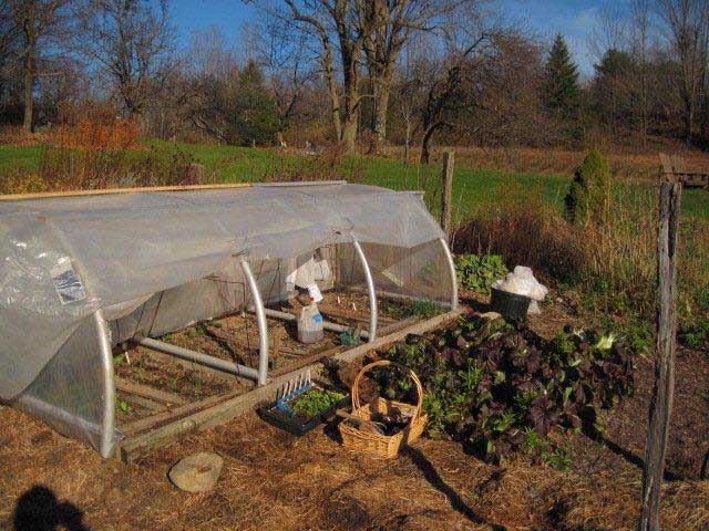 Greenhouse and extended season growing 